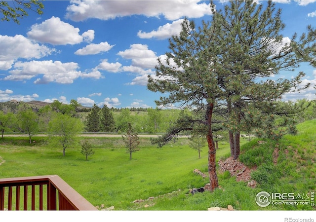 8664 Middle Fork Rd, Boulder, CO 80302 - photo 29