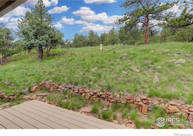 8664 Middle Fork Rd, Boulder, CO 80302 - photo 32
