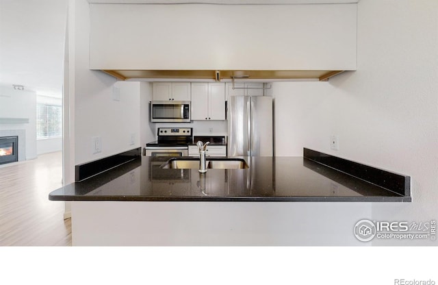 6110 Habitat Dr Unit 2, Boulder, CO 80301 - kitchen featuring stainless steel appliances, a sink, a peninsula, light wood-style floors, and a glass covered fireplace