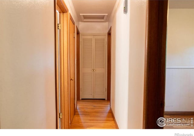 508 W 11th St, Loveland, CO 80537 - hallway with light wood-type flooring and attic access