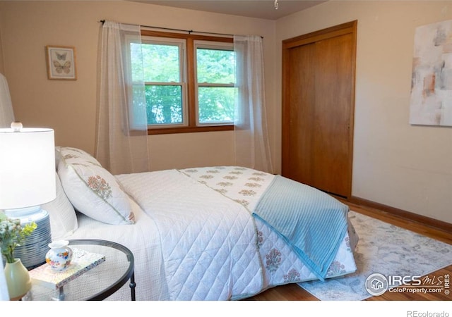 508 W 11th St, Loveland, CO 80537 - bedroom with wood finished floors, a closet, and baseboards