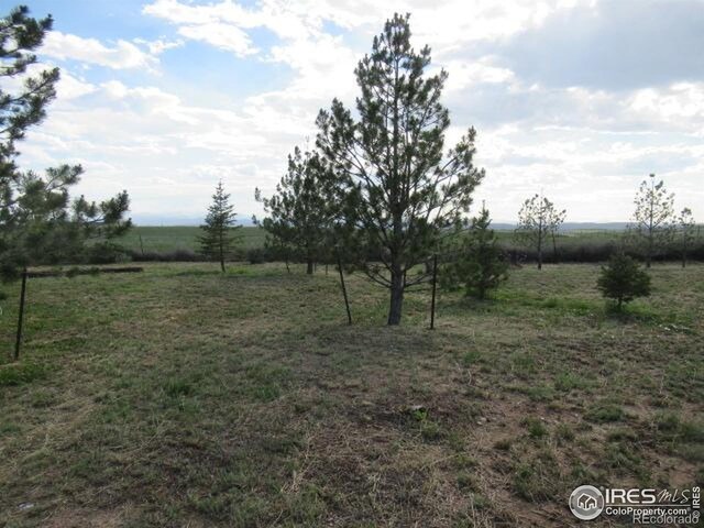 3301 Hackamore Rd, Wellington, CO 80549
