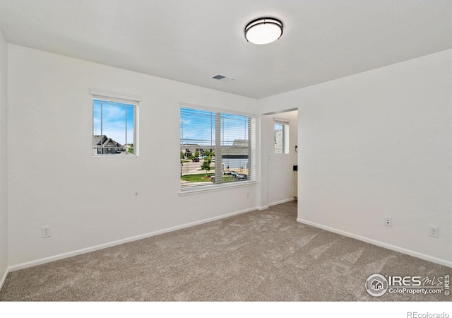 6614 Neota Creek Ct, Timnath, CO 80547 - spare room with carpet and baseboards
