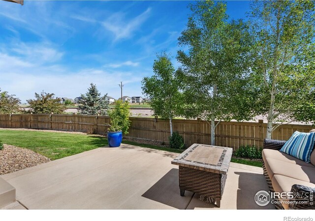 6614 Neota Creek Ct, Timnath, CO 80547 - view of patio / terrace