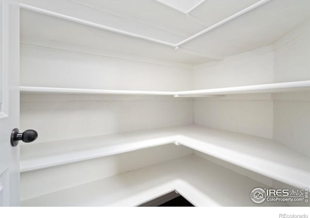 6614 Neota Creek Ct, Timnath, CO 80547 - view of storage area