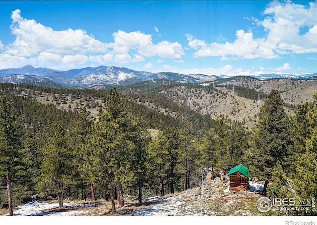 290 Skyhill Dr, Evergreen, CO 80439 - view of mountain background featuring a forest