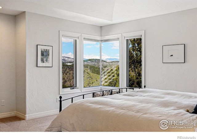 290 Skyhill Dr, Evergreen, CO 80439 - carpeted bedroom with baseboards and a textured wall