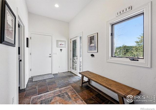 290 Skyhill Dr, Evergreen, CO 80439 - foyer entrance featuring dark stone finish flooring, baseboards, and recessed lighting