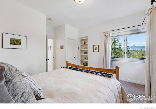 290 Skyhill Dr, Evergreen, CO 80439 - bedroom featuring carpet floors and baseboards