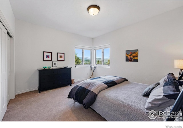 290 Skyhill Dr, Evergreen, CO 80439 - bedroom with light colored carpet, baseboards, and a closet