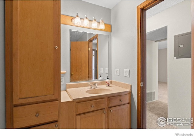 316 Wright St Unit 203, Lakewood, CO 80228 - bathroom with electric panel and vanity