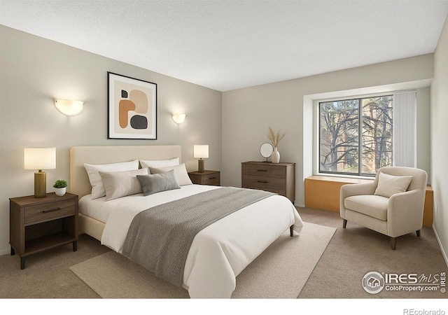 316 Wright St Unit 203, Lakewood, CO 80228 - bedroom with carpet floors
