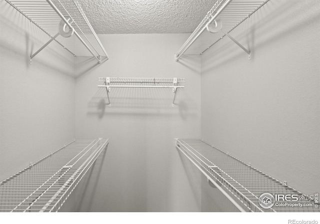 316 Wright St Unit 203, Lakewood, CO 80228 - view of walk in closet