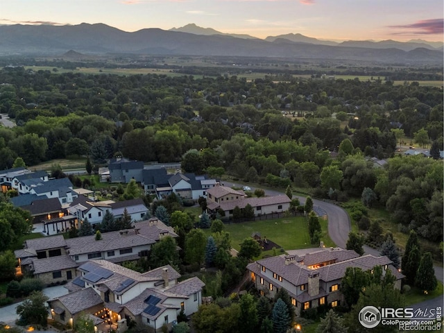 6851 Goldbranch Dr, Niwot, CO 80503 - photo 36
