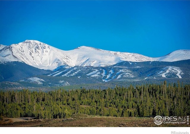 227 County Road 5194, Tabernash, CO 80478 - photo 4