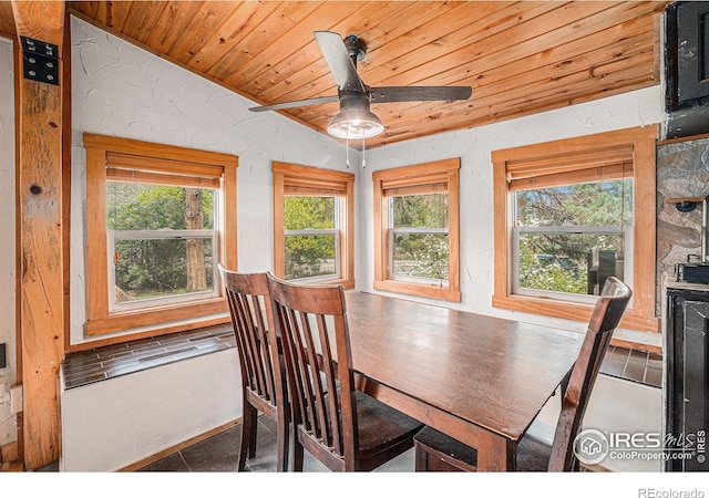 10313 Poudre Canyon Rd, Bellvue, CO 80512 - photo 8