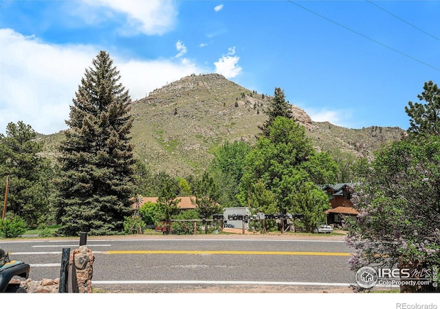 10313 Poudre Canyon Rd, Bellvue, CO 80512 - photo 18