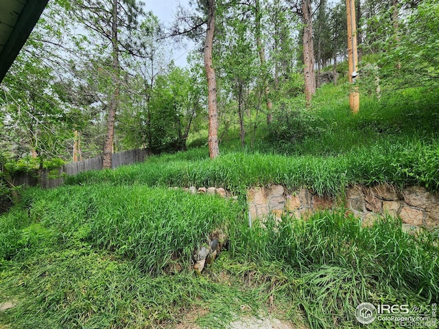 10313 Poudre Canyon Rd, Bellvue, CO 80512 - photo 20