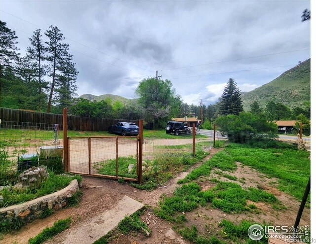 10313 Poudre Canyon Rd, Bellvue, CO 80512 - photo 19