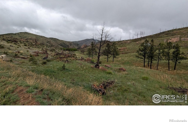 42 Smokey Mountain Ct, Livermore, CO 80536 - photo 11