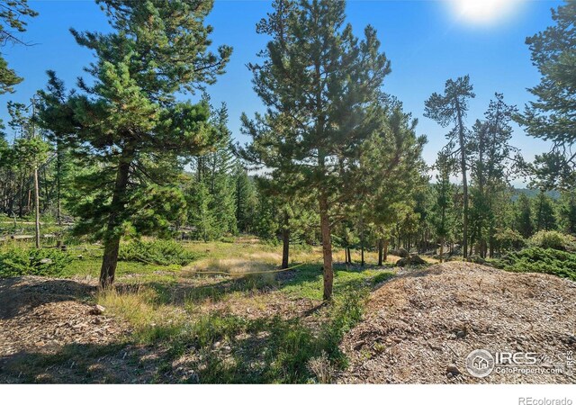 231 Granite Dr, Drake, CO 80515