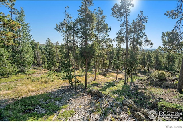 231 Granite Dr, Drake, CO 80515