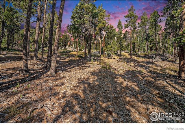 231 Granite Dr, Drake, CO 80515