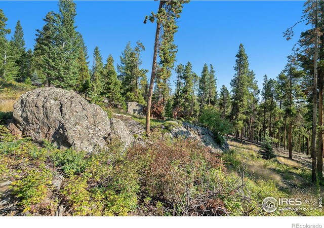 231 Granite Dr, Drake, CO 80515