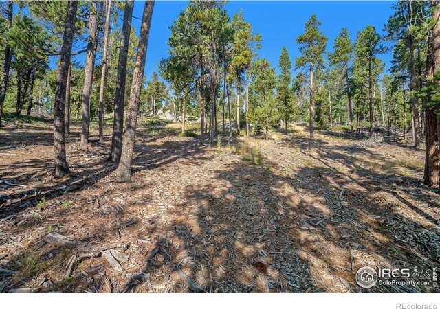 231 Granite Dr, Drake, CO 80515