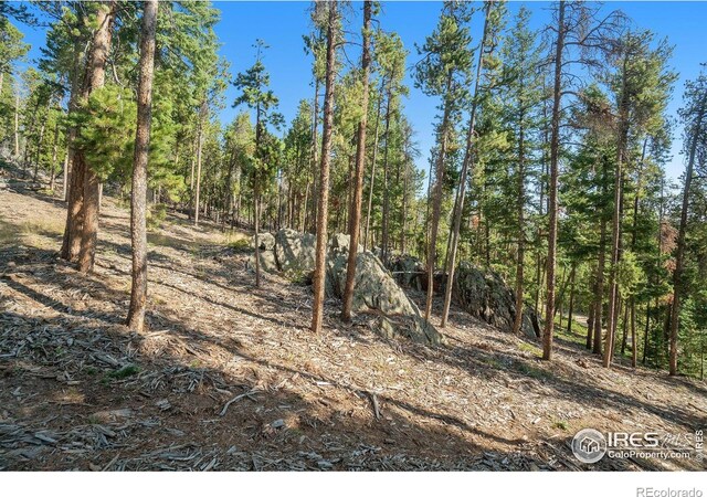 231 Granite Dr, Drake, CO 80515