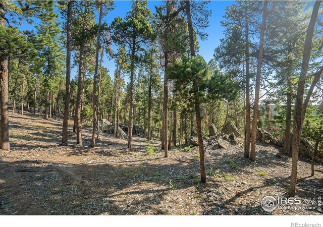 231 Granite Dr, Drake, CO 80515
