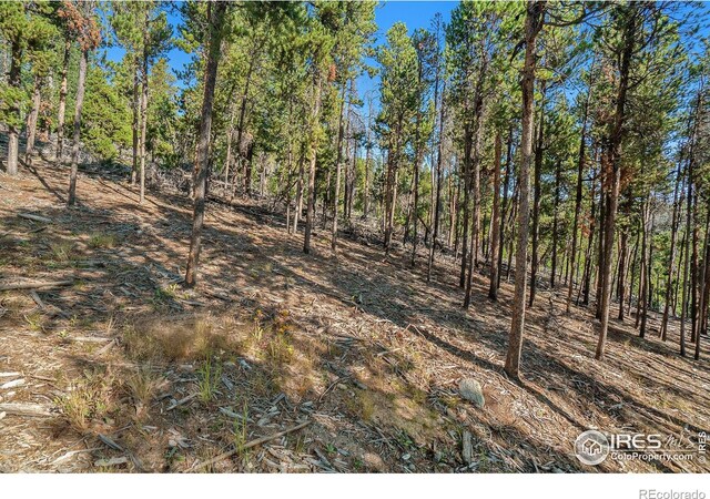 231 Granite Dr, Drake, CO 80515