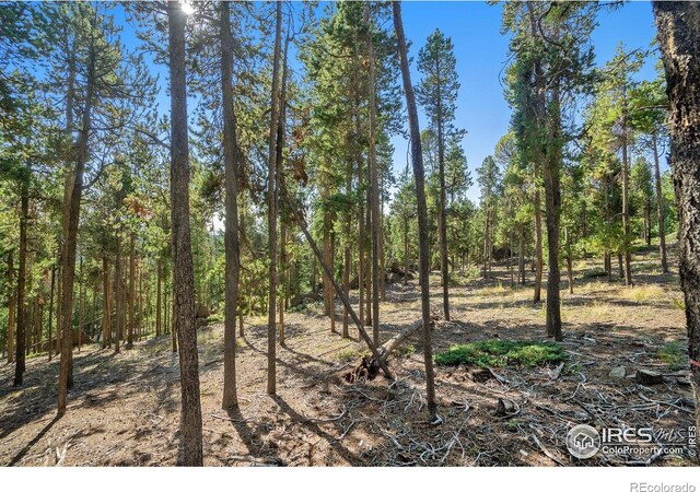 231 Granite Dr, Drake, CO 80515