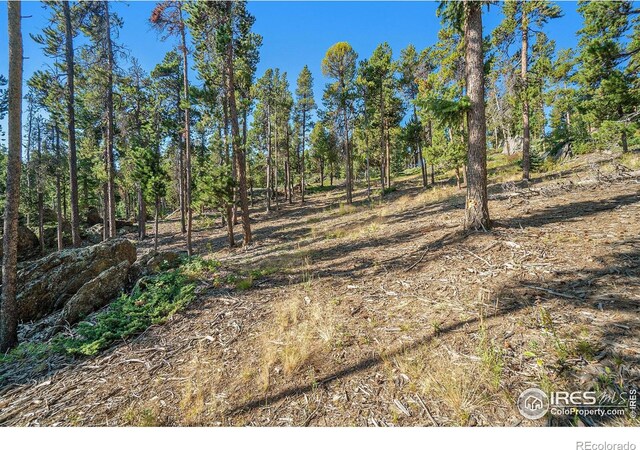 231 Granite Dr, Drake, CO 80515