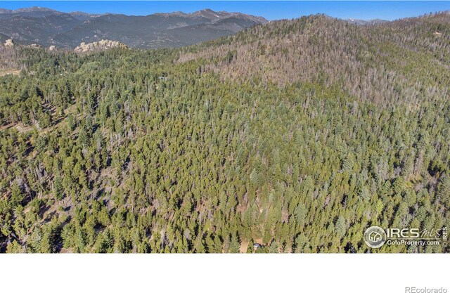 231 Granite Dr, Drake, CO 80515