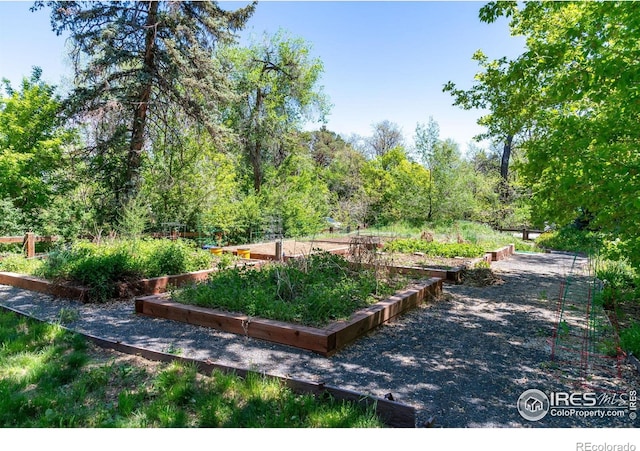 3341 Yukon Ct, Wheat Ridge, CO 80033