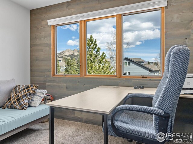 1437 Raven Cir Unit H, Estes Park, CO 80517