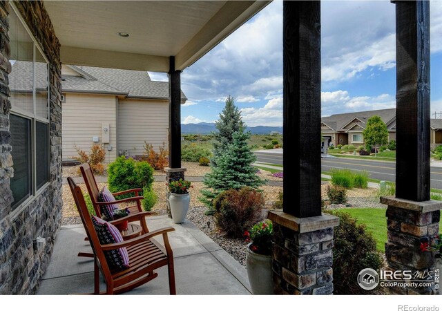 3804 Angora Dr, Loveland, CO 80537 - photo 3