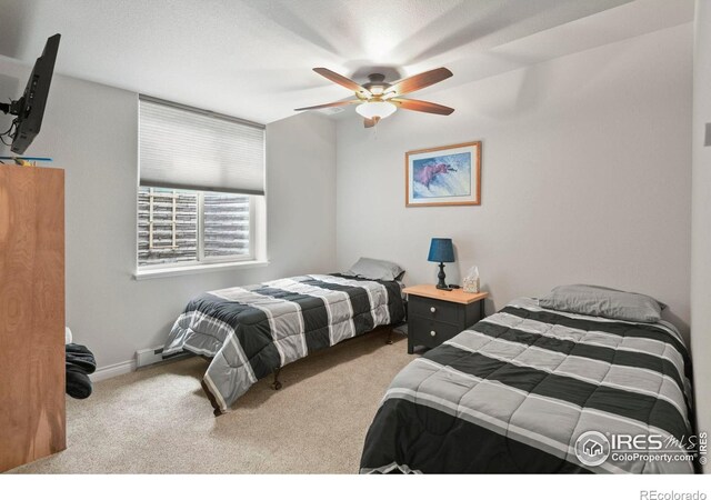 3804 Angora Dr, Loveland, CO 80537 - photo 35