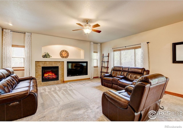 1414 Sheep Creek Ct, Fort Collins, CO 80526 - living area featuring carpet, a fireplace, healthy amount of natural light, and baseboards