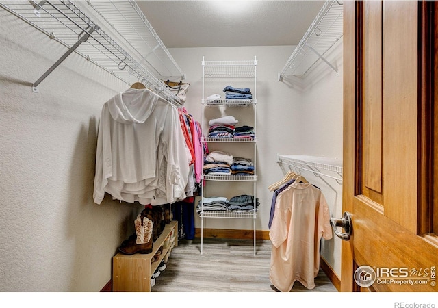 1414 Sheep Creek Ct, Fort Collins, CO 80526 - spacious closet with wood finished floors