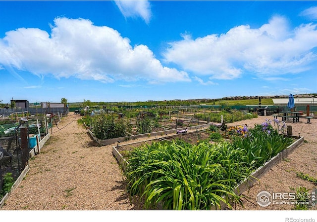 1837 Spaulding Cir, Superior, CO 80027 - view of yard featuring a vegetable garden