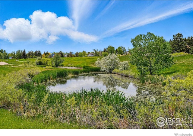 1837 Spaulding Cir, Superior, CO 80027 - water view