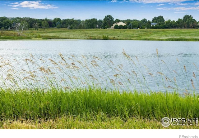 1837 Spaulding Cir, Superior, CO 80027 - photo 25