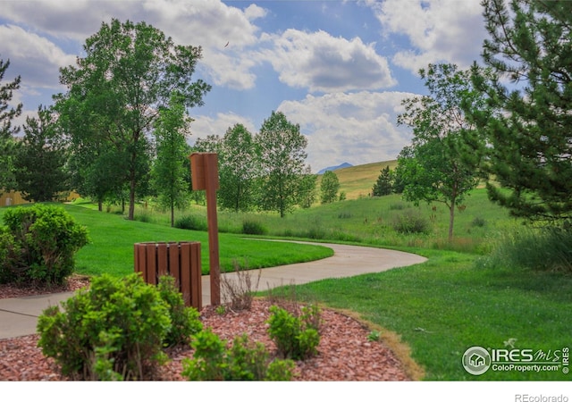 1837 Spaulding Cir, Superior, CO 80027 - photo 26