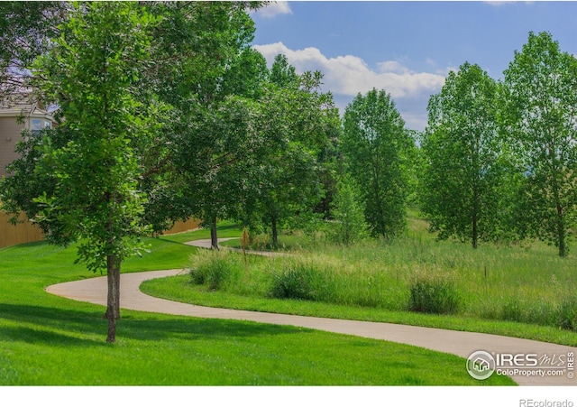 1837 Spaulding Cir, Superior, CO 80027 - photo 27