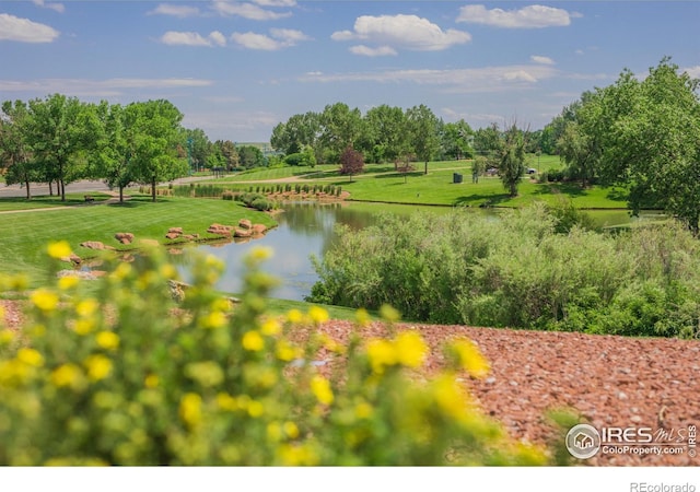 1837 Spaulding Cir, Superior, CO 80027 - photo 28