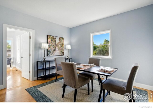1711 Antero Dr, Longmont, CO 80504 - photo 21