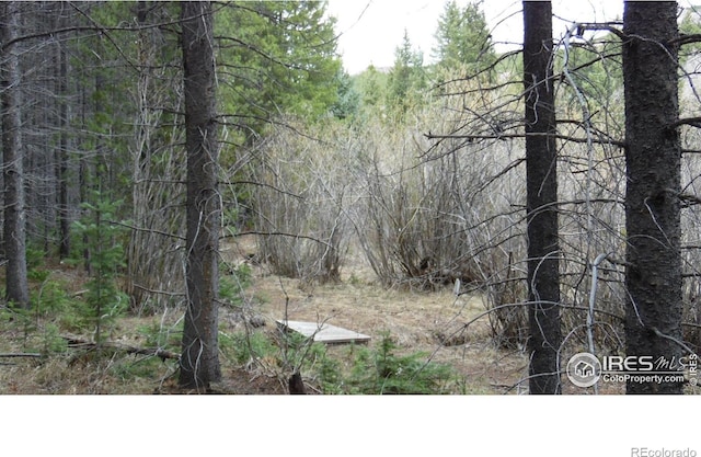 591 Tuscarora Way, Red Feather Lakes, CO 80545