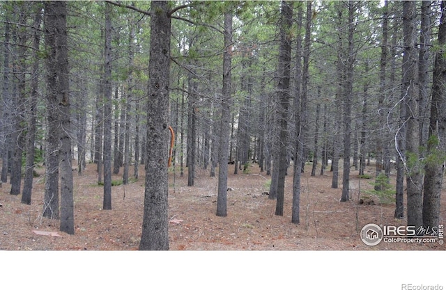 591 Tuscarora Way, Red Feather Lakes, CO 80545